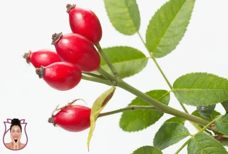 Ação hidratante prolongada com Rosa Mosqueta Amazônica